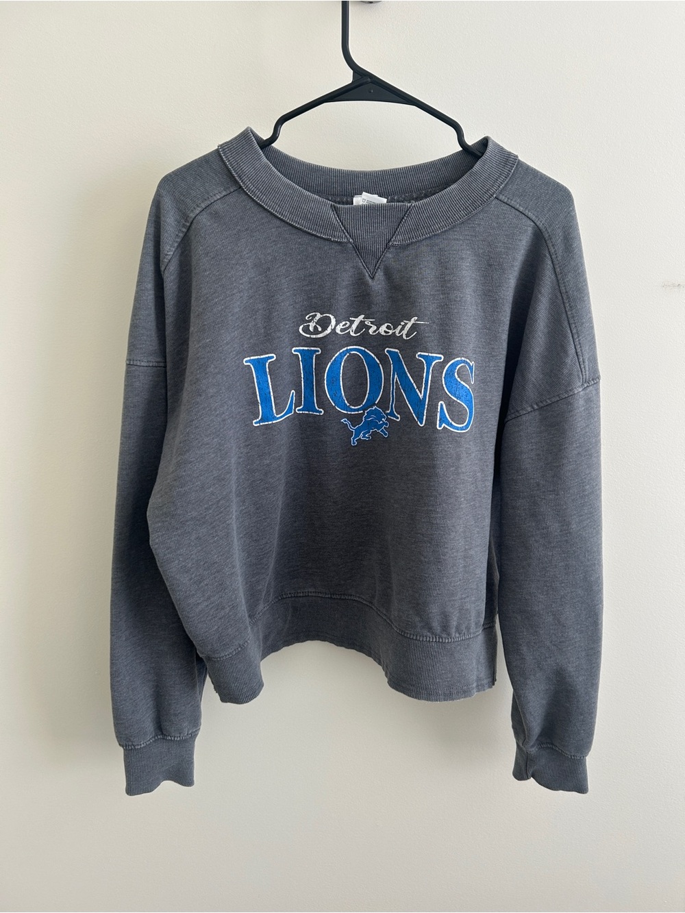 Detroit Lions Women's Charcoal Crewneck Sweatshirt - Large - NFL Brand Official